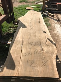 English Walnut